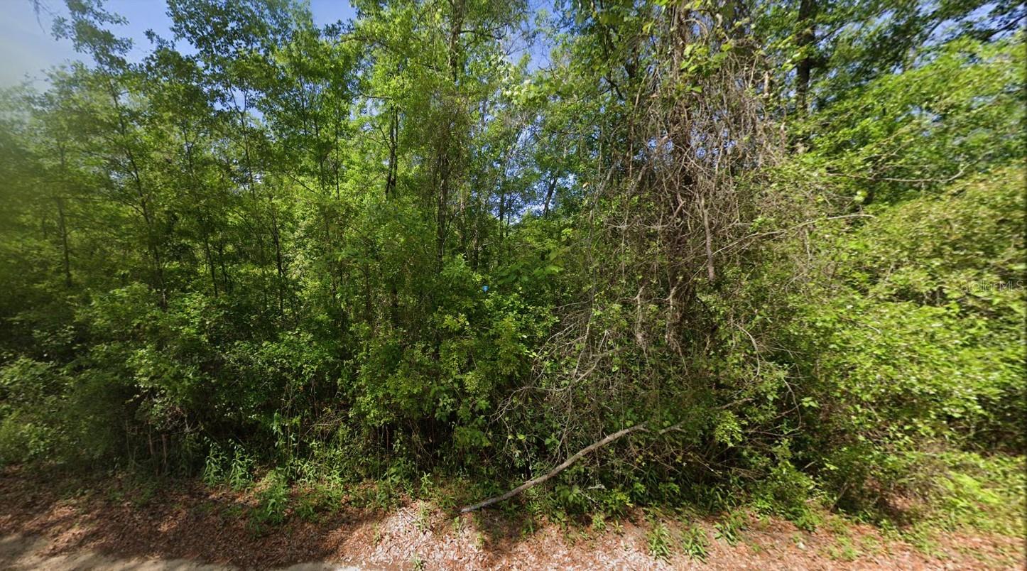 212 SE KACHINA AVE, LEE, FL, 32059