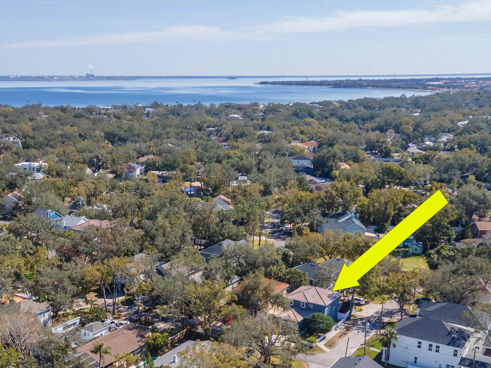 2920 W TRILBY AVE, TAMPA, FL, 33611