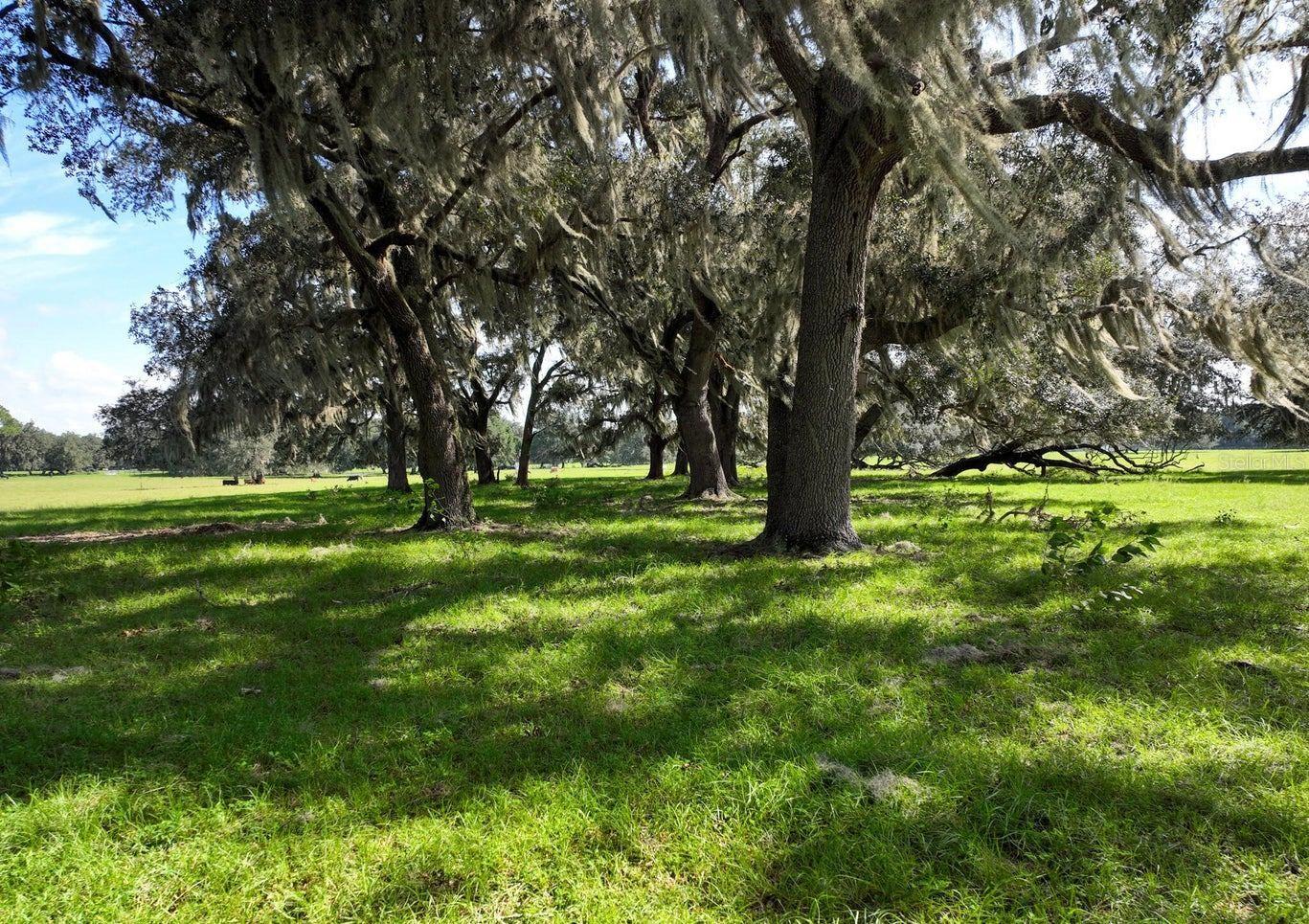 HAWTHORNE, FL, 32640
