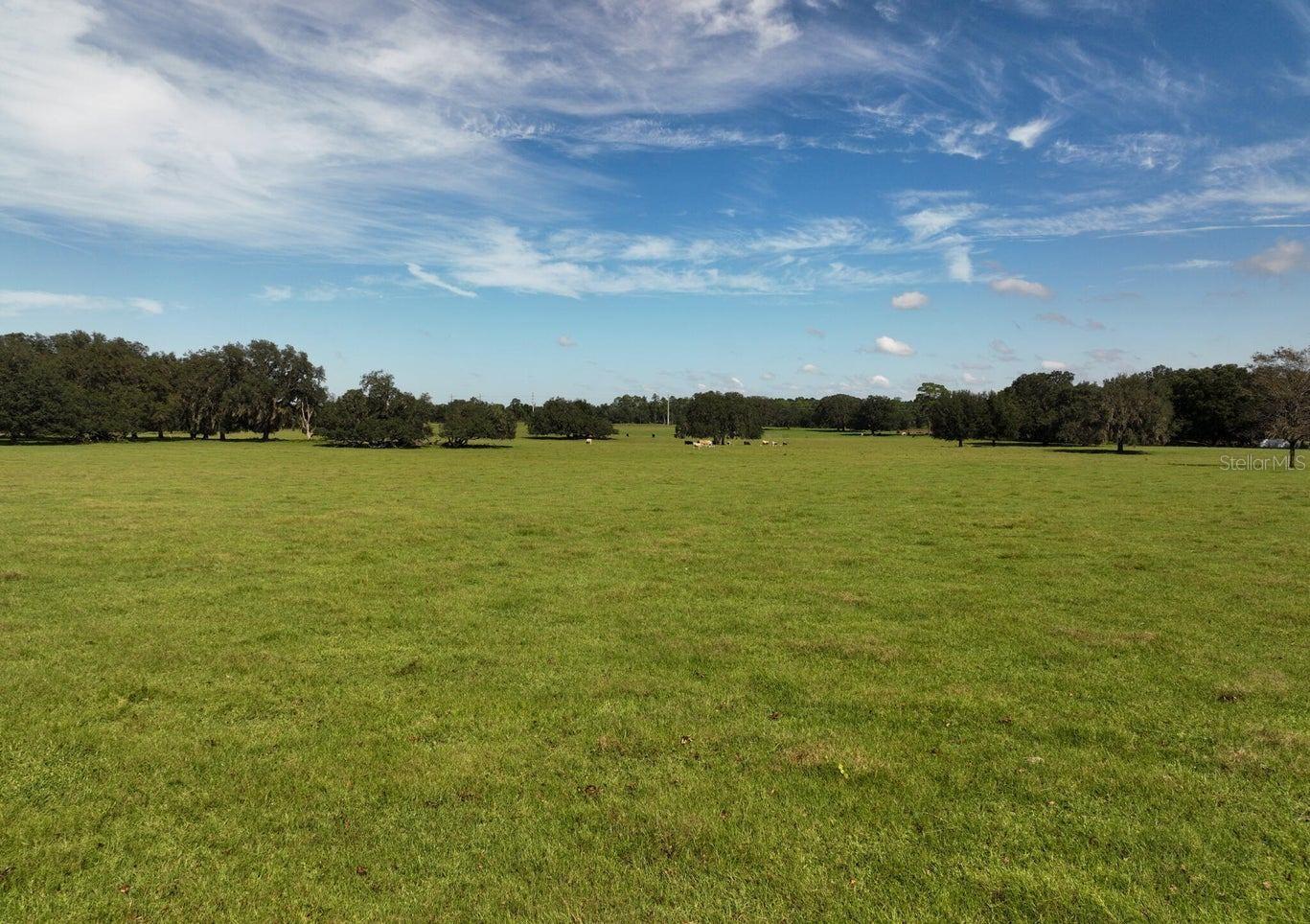 HAWTHORNE, FL, 32640