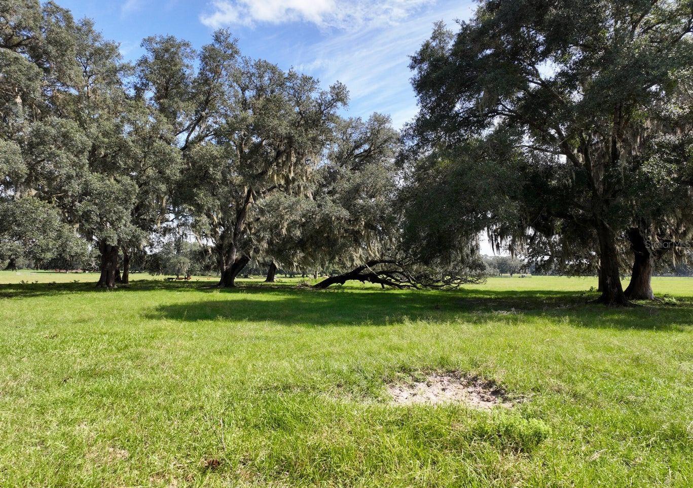 HAWTHORNE, FL, 32640