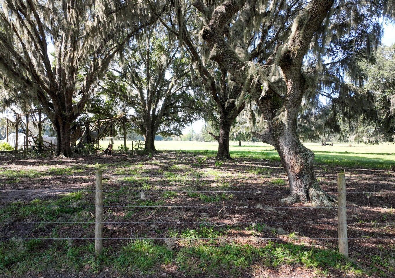 HAWTHORNE, FL, 32640