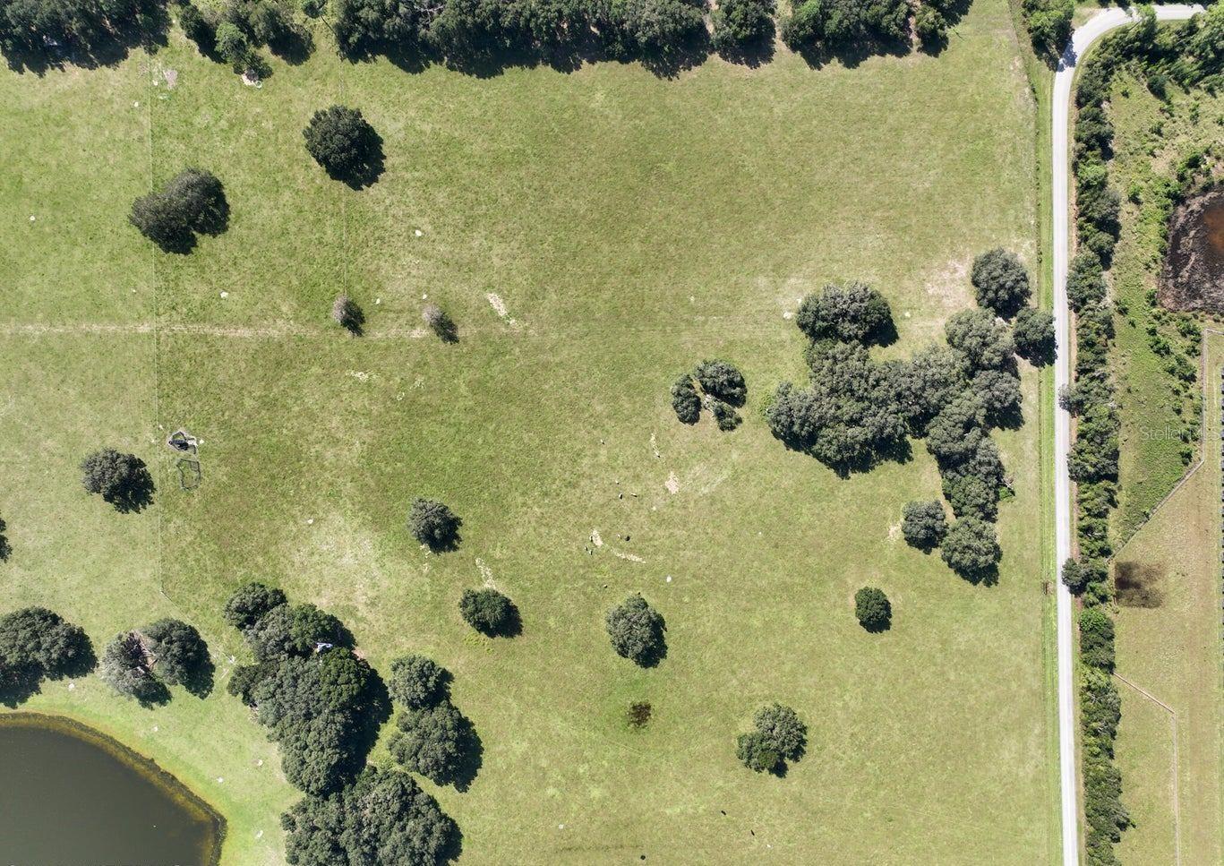HAWTHORNE, FL, 32640