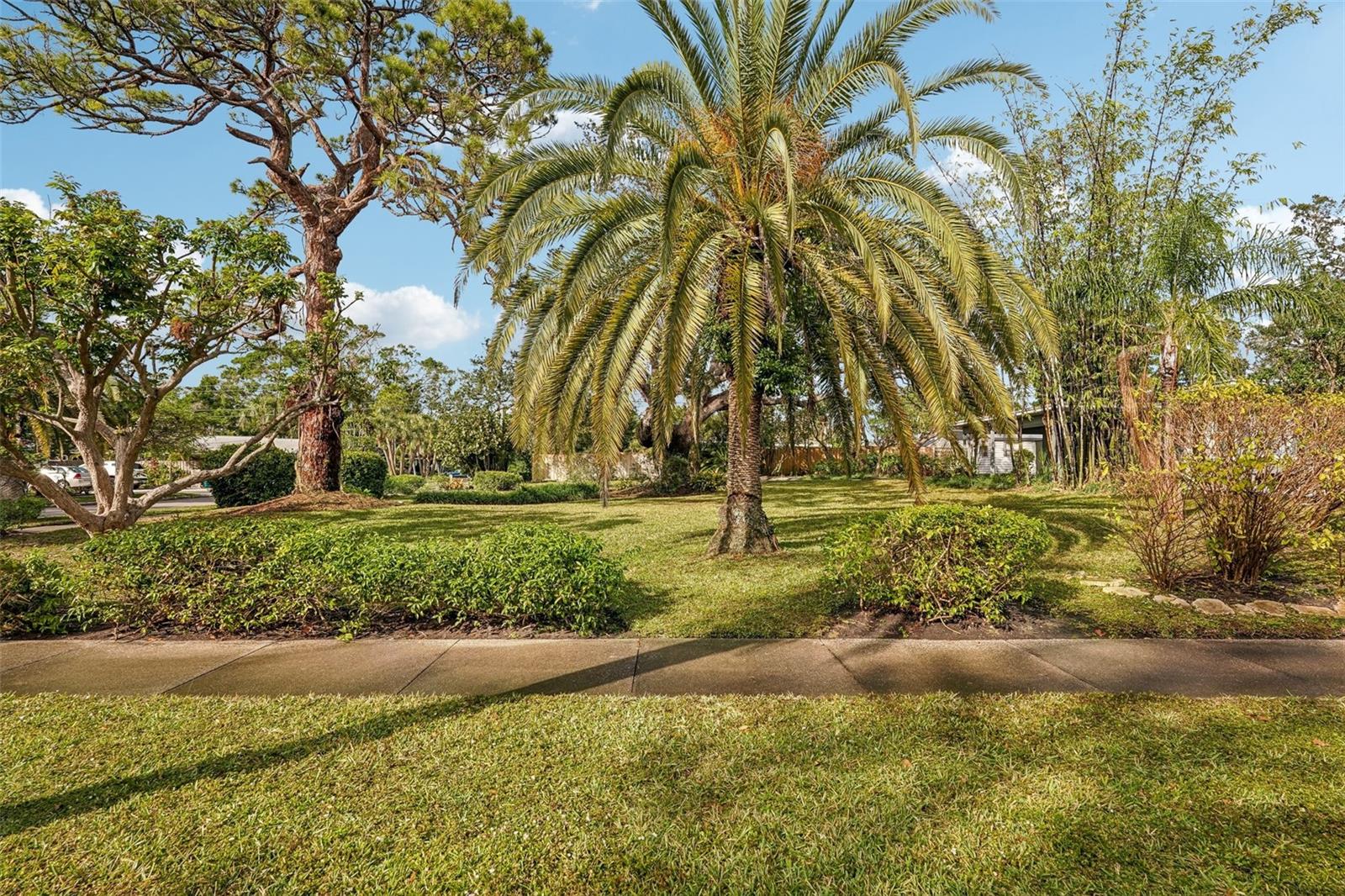 349 SCOTT AVE, SARASOTA, FL, 34243