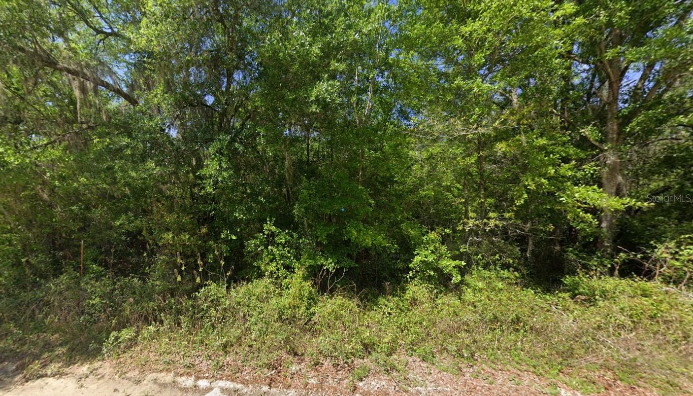 450 SE KACHINA AVE, LEE, FL, 32059