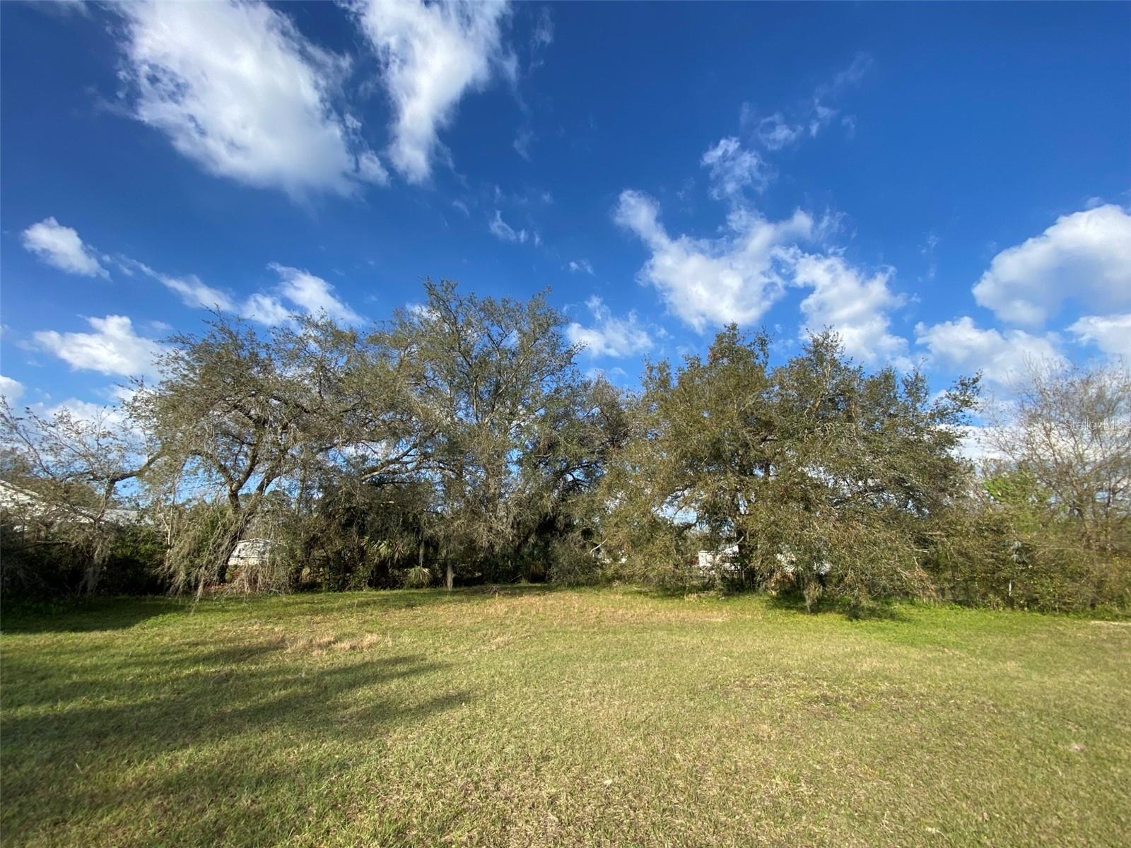 4210 LOURY, WESLEY CHAPEL, FL, 33543