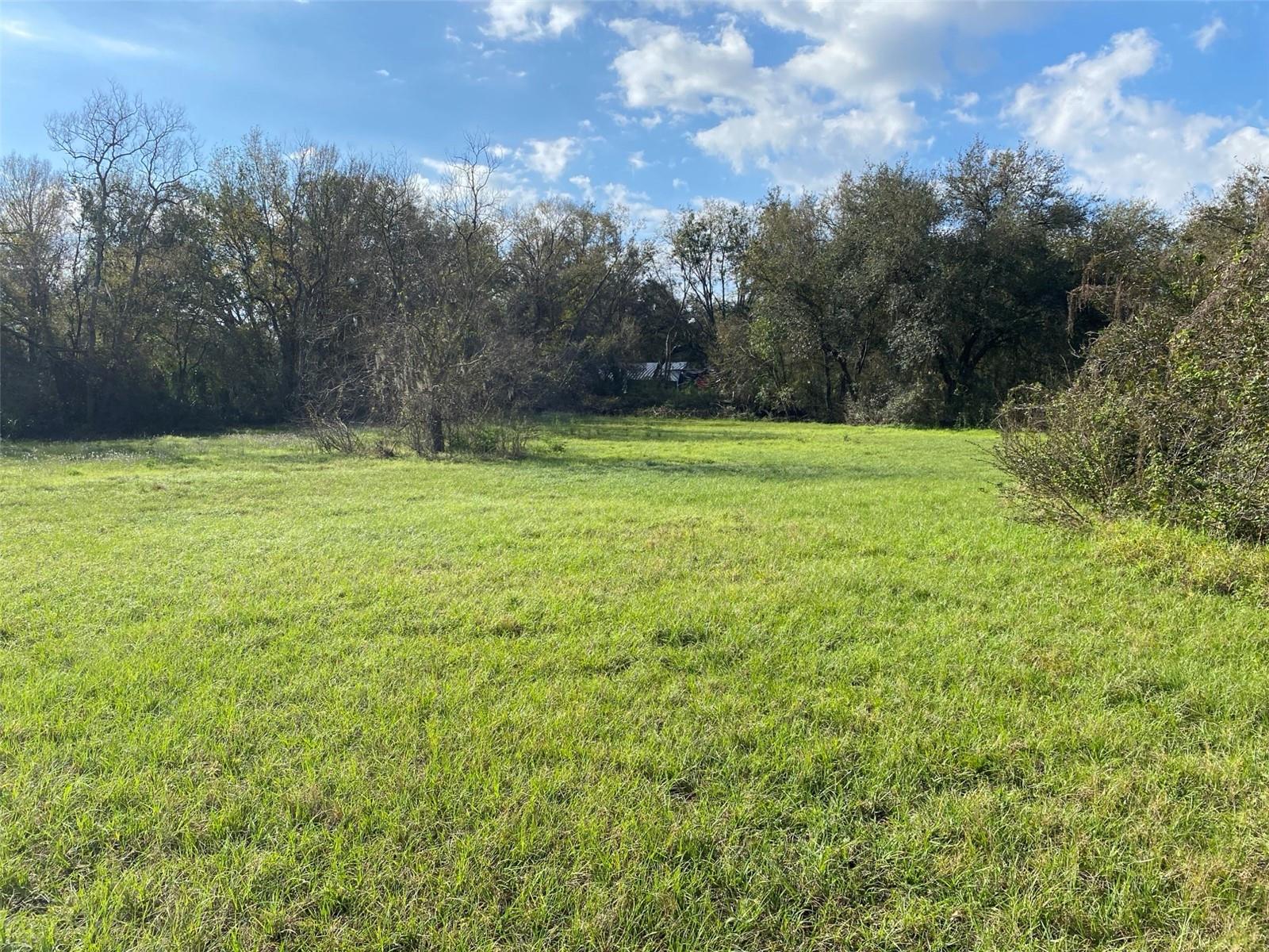 4210 LOURY, WESLEY CHAPEL, FL, 33543