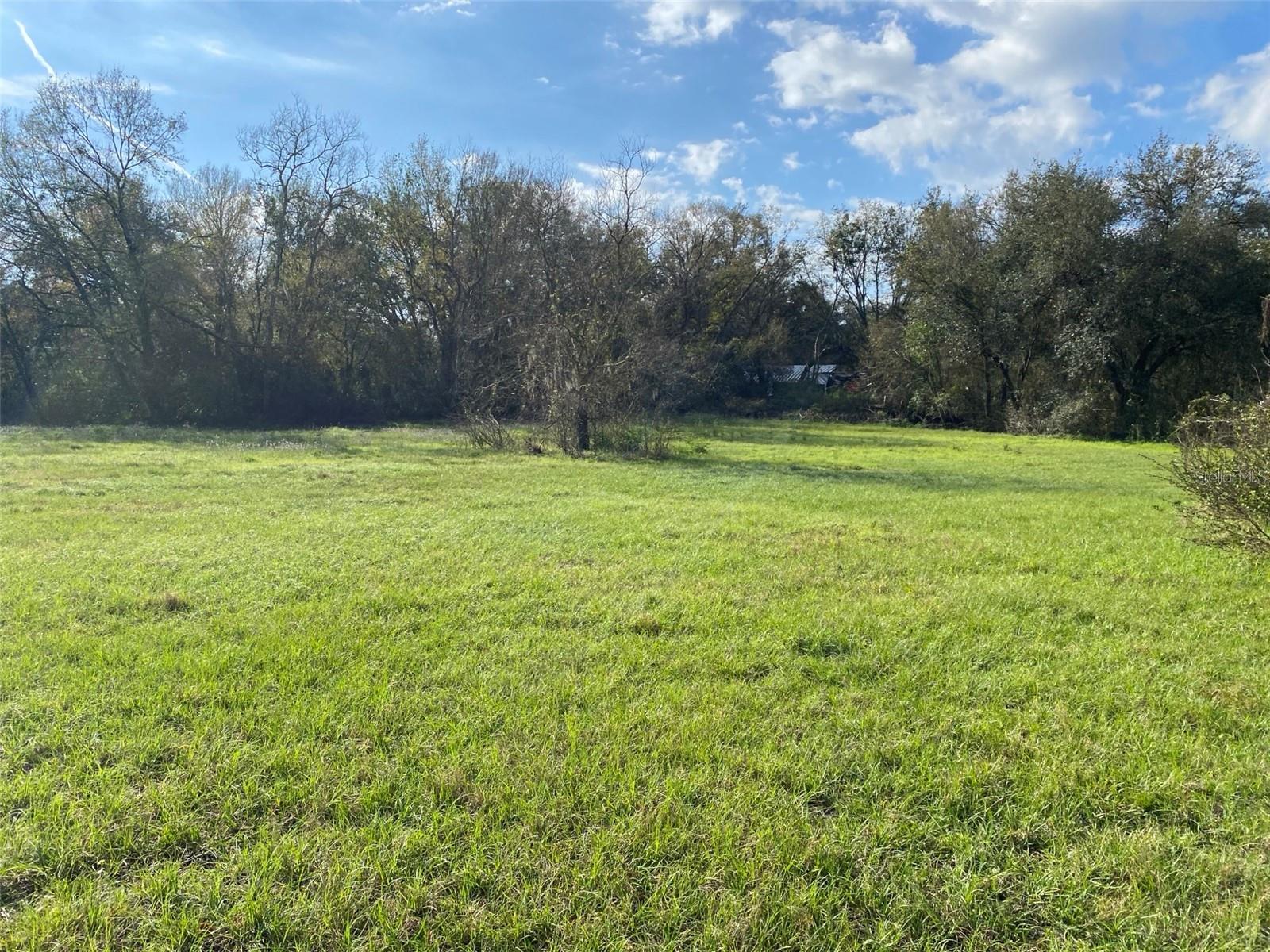 4210 LOURY, WESLEY CHAPEL, FL, 33543