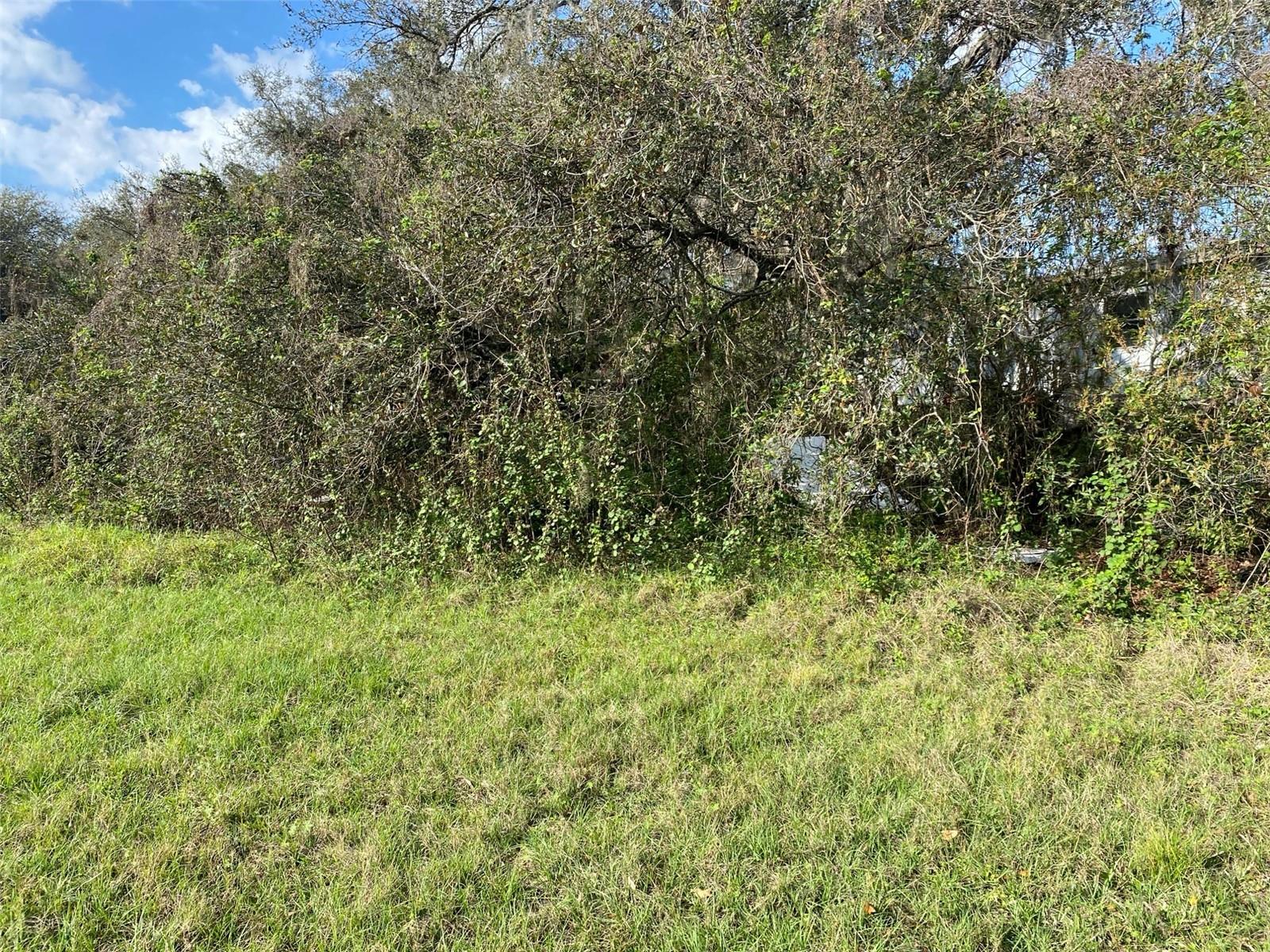 4210 LOURY, WESLEY CHAPEL, FL, 33543