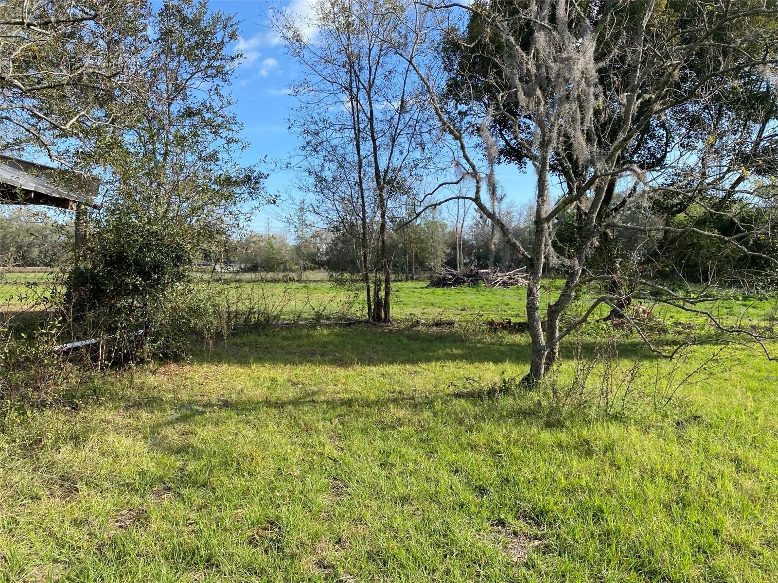 4210 LOURY, WESLEY CHAPEL, FL, 33543