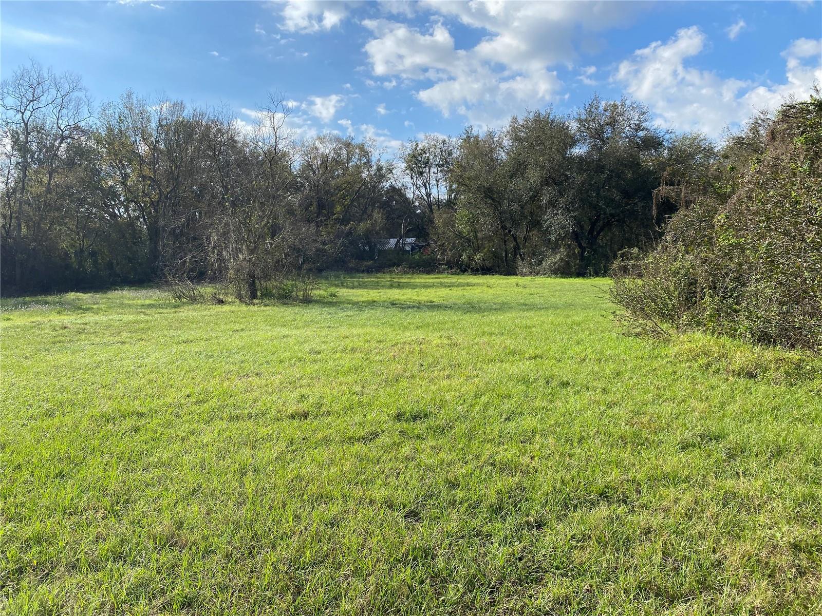 4210 LOURY, WESLEY CHAPEL, FL, 33543