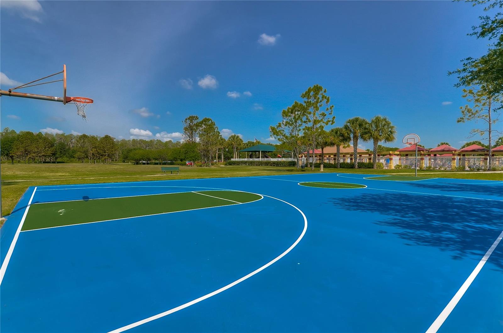 3315 ASHMONTE DR, LAND O LAKES, FL, 34638