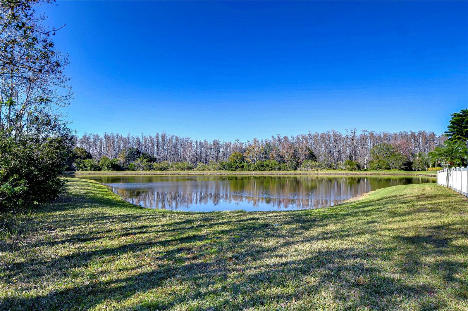 3315 ASHMONTE DR, LAND O LAKES, FL, 34638