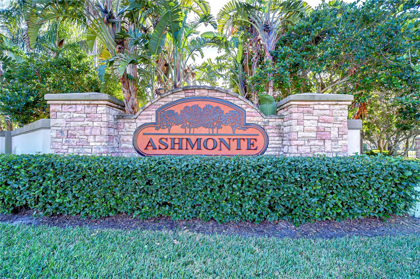 3315 ASHMONTE DR, LAND O LAKES, FL, 34638
