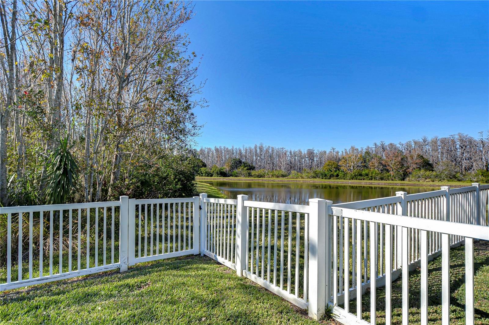 3315 ASHMONTE DR, LAND O LAKES, FL, 34638