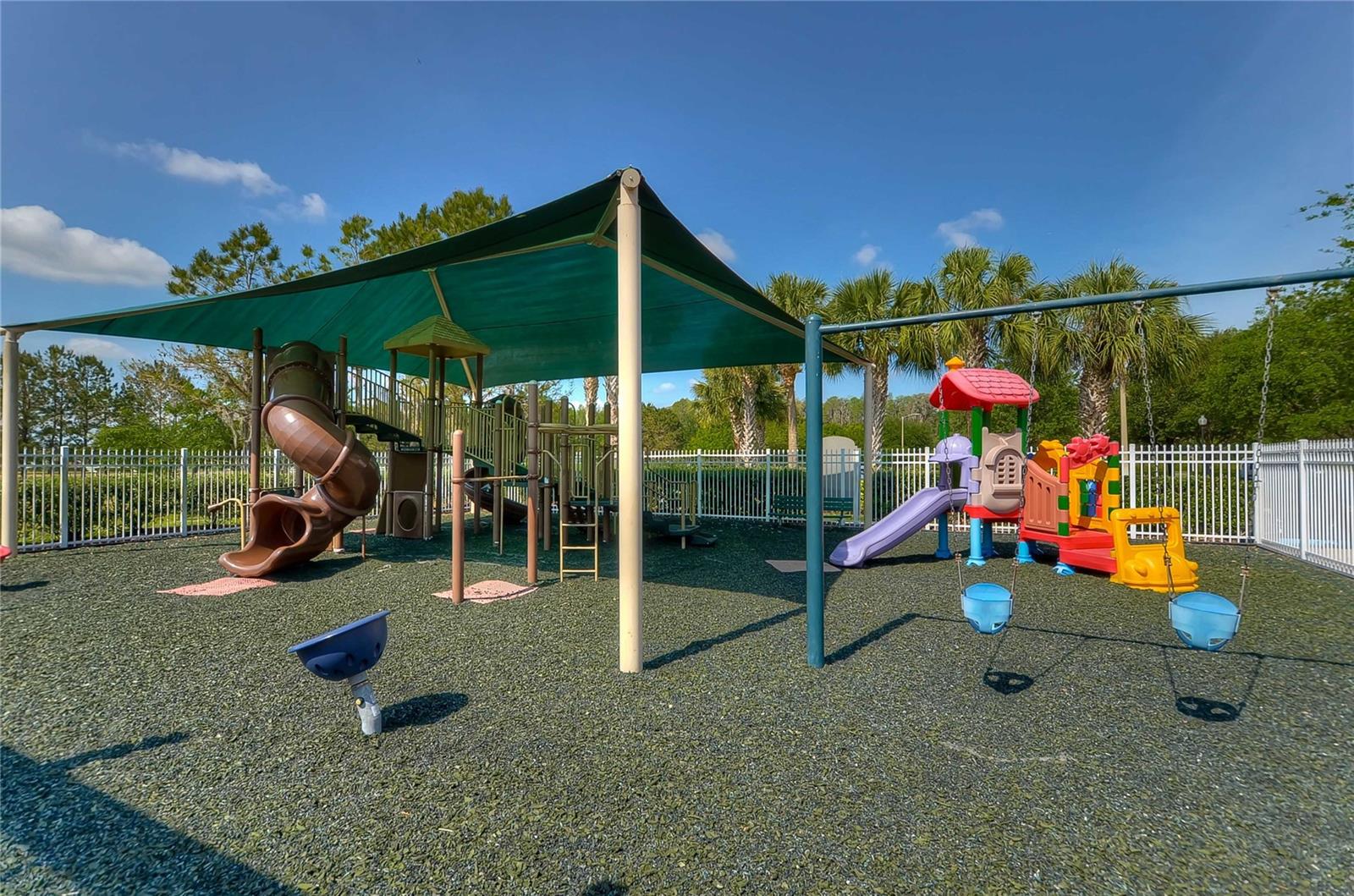 3315 ASHMONTE DR, LAND O LAKES, FL, 34638