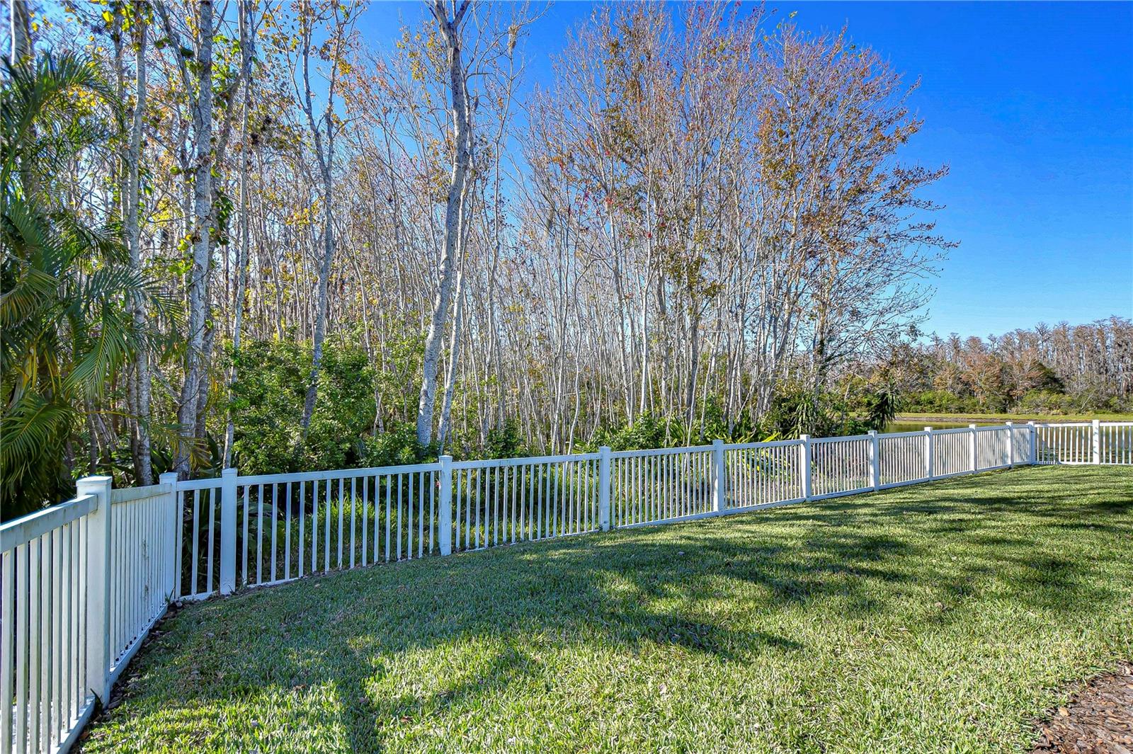 3315 ASHMONTE DR, LAND O LAKES, FL, 34638