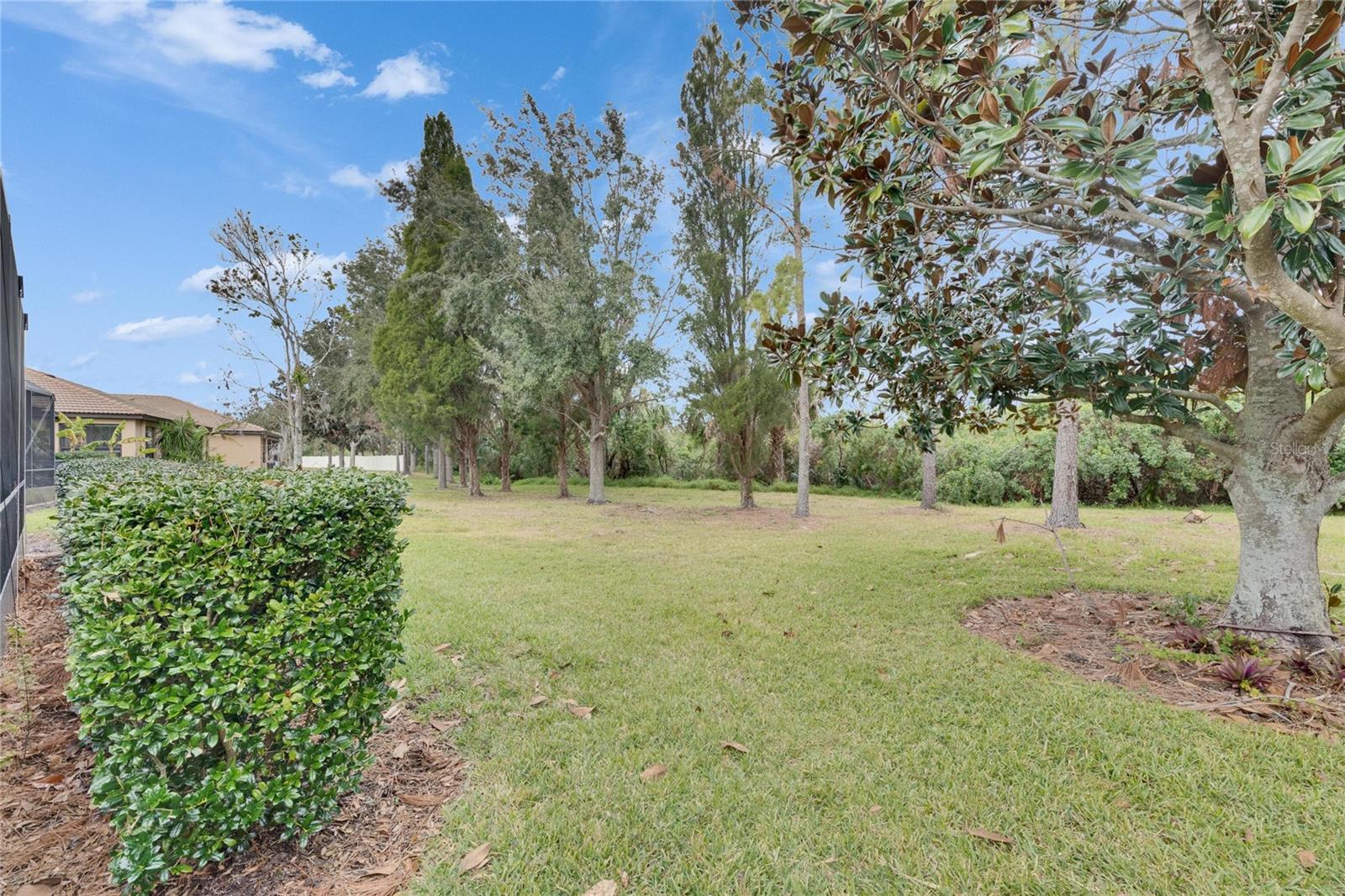 205 SILVER FALLS DR, APOLLO BEACH, FL, 33572