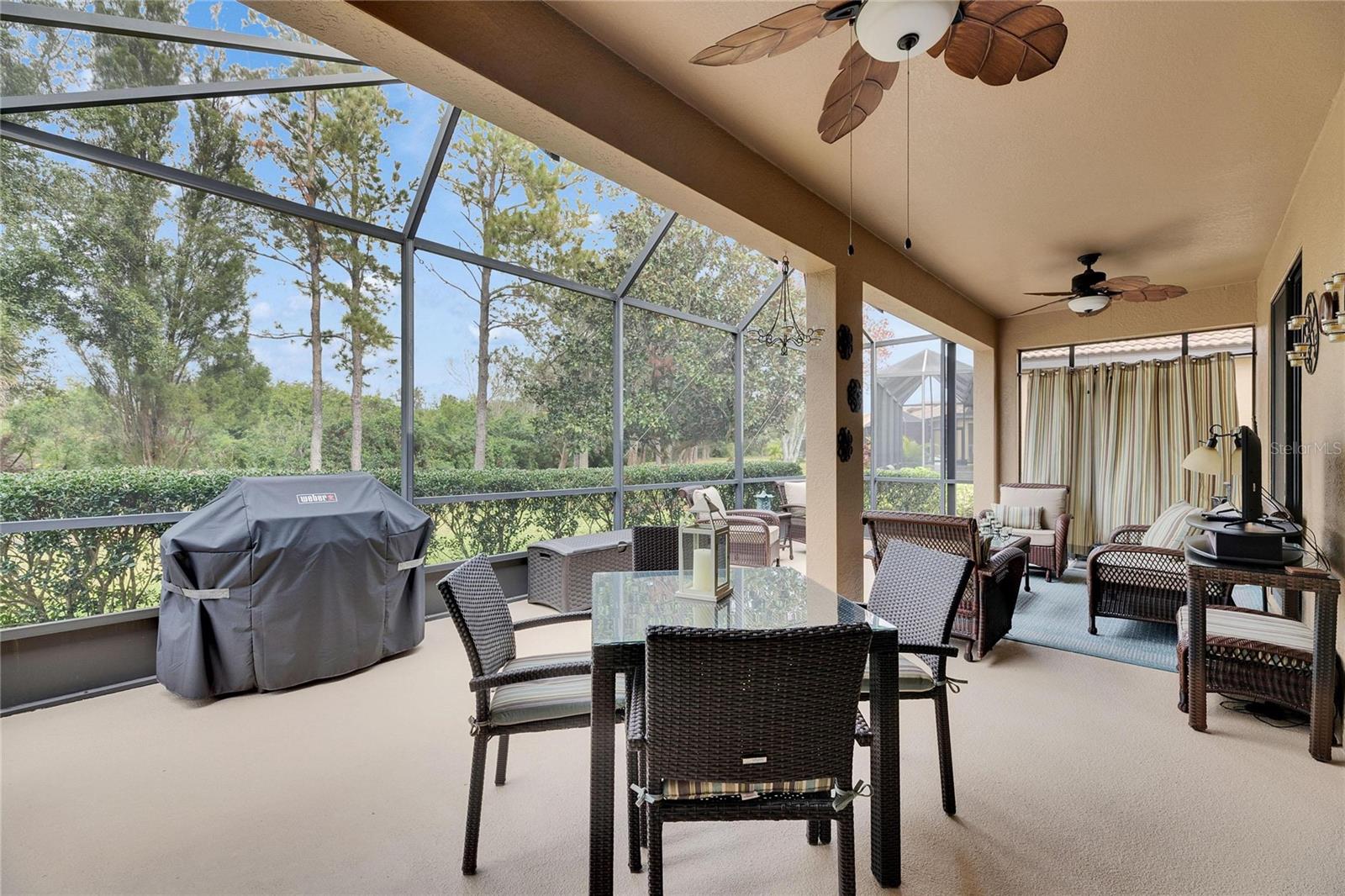 205 SILVER FALLS DR, APOLLO BEACH, FL, 33572