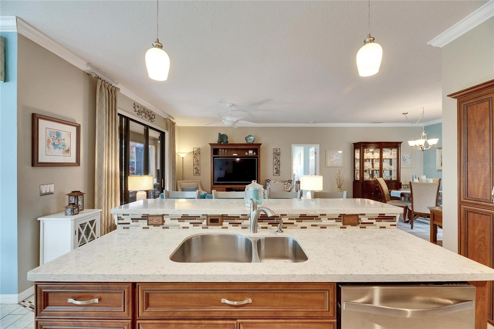 205 SILVER FALLS DR, APOLLO BEACH, FL, 33572