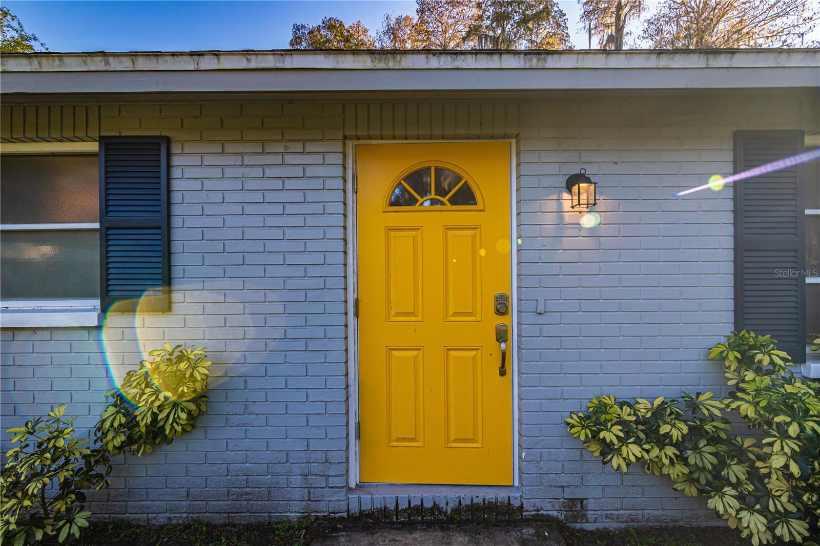 17133 RAINBOW TER, ODESSA, FL, 33556