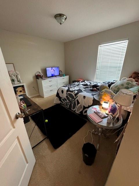 3105 DASHA PALM DR, KISSIMMEE, FL, 34744