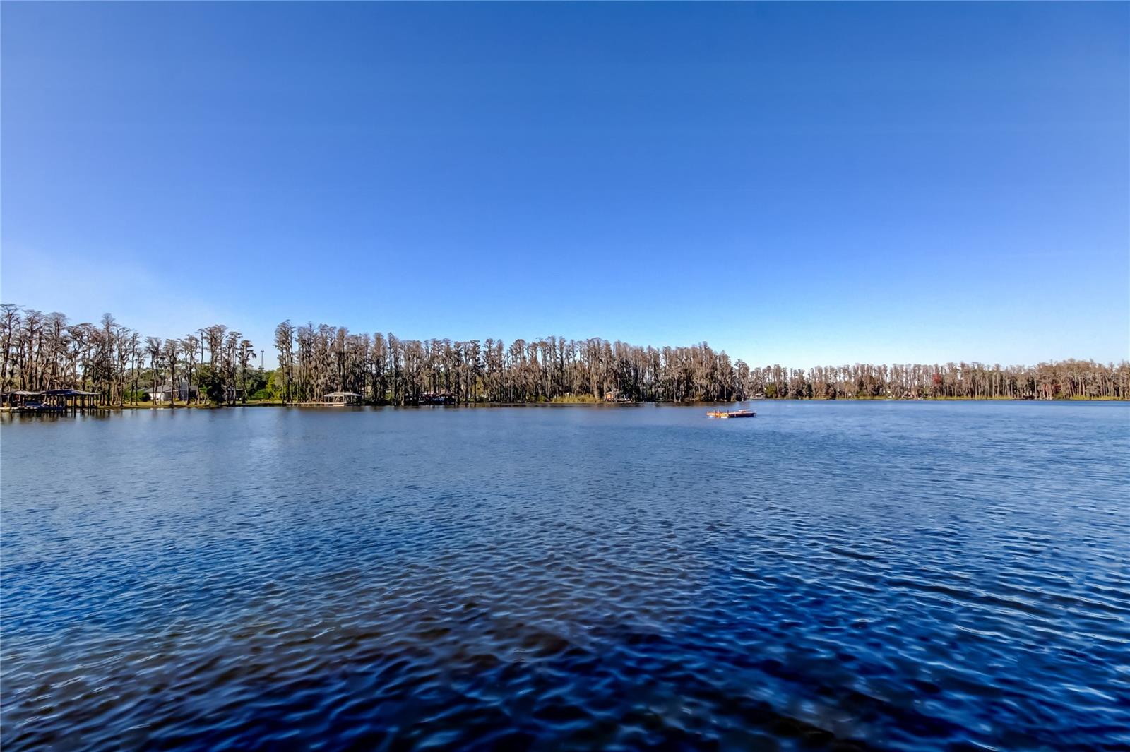 6317 DISCOVERY LN, LAND O LAKES, FL, 34638