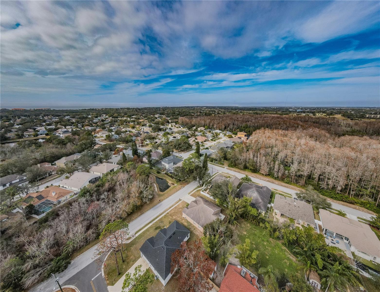 1833 HILLCREST ST, TARPON SPRINGS, FL, 34689