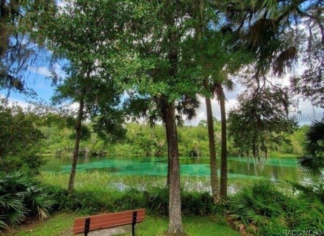 0000 SW 95TH PL #LOT 53, DUNNELLON, FL, 34432