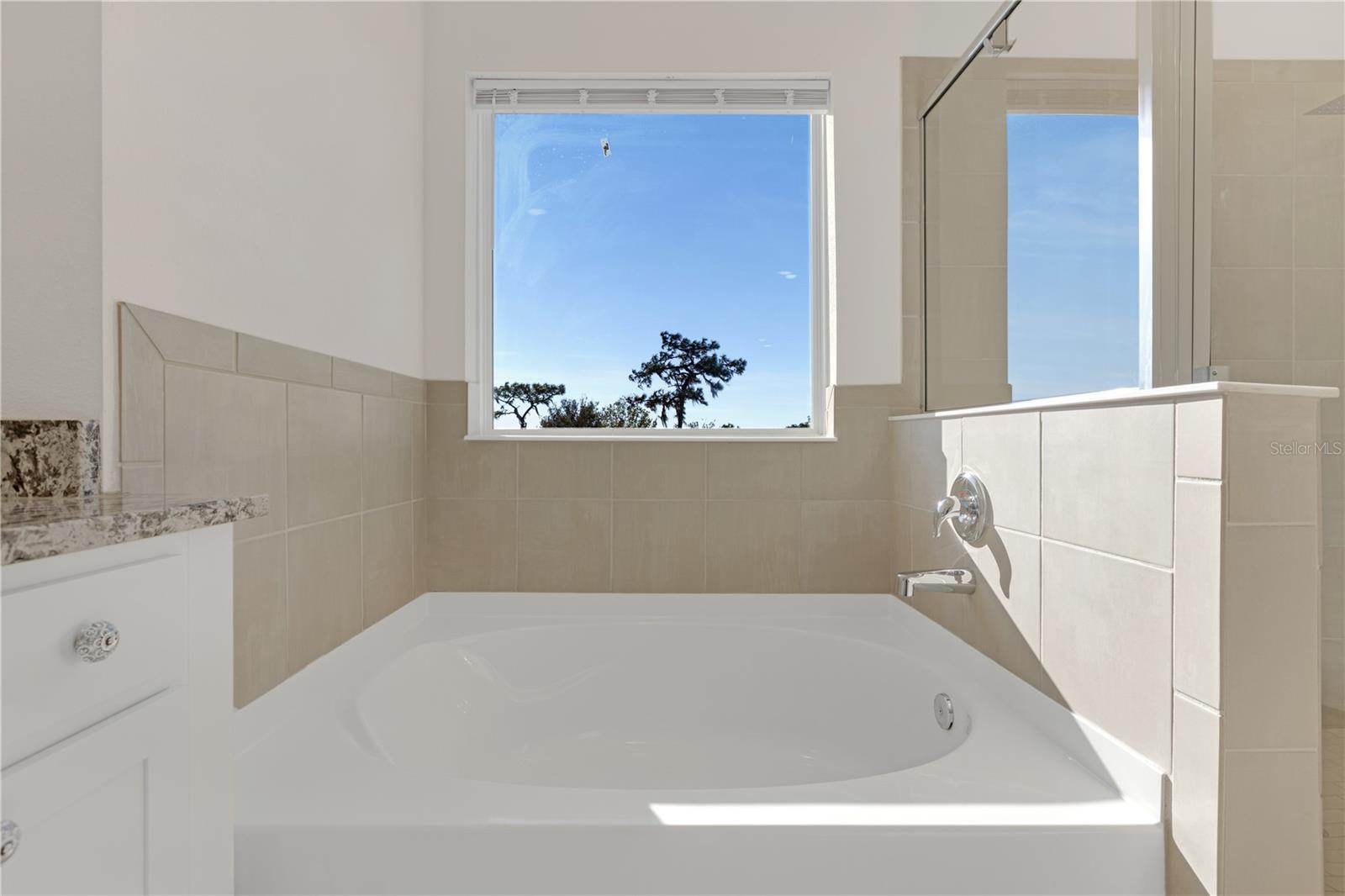 5571 MARGATE MILL BND, WESLEY CHAPEL, FL, 33545