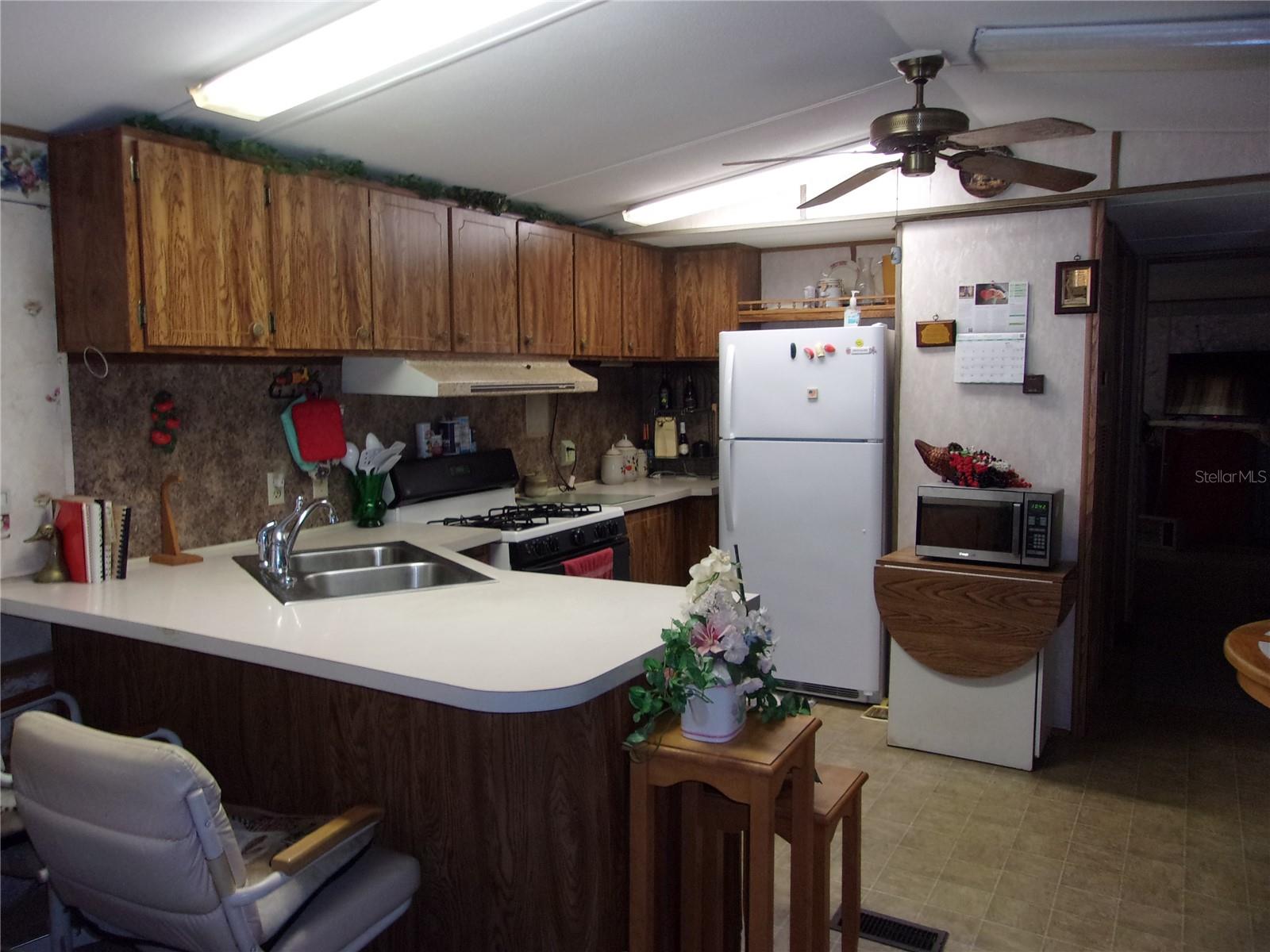 580 NE 62ND TER, OCALA, FL, 34470
