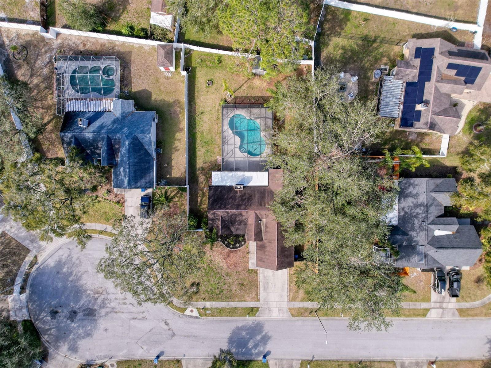1035 DOCKSIDE DR, LUTZ, FL, 33559