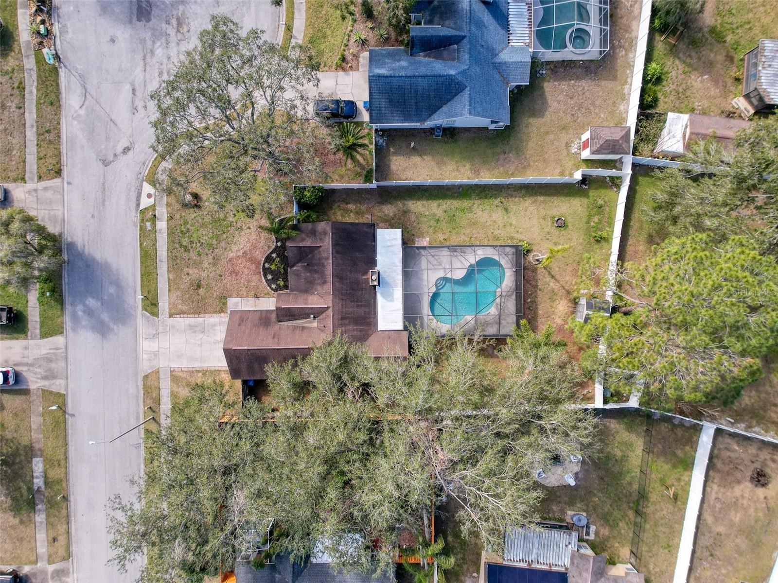 1035 DOCKSIDE DR, LUTZ, FL, 33559