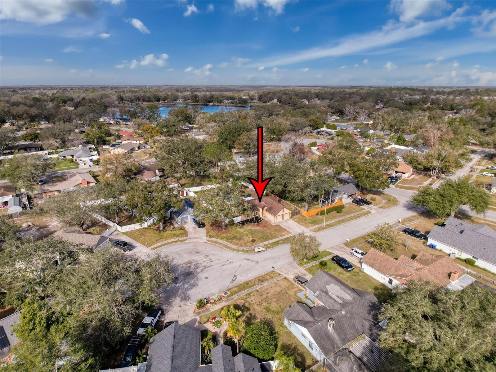 1035 DOCKSIDE DR, LUTZ, FL, 33559