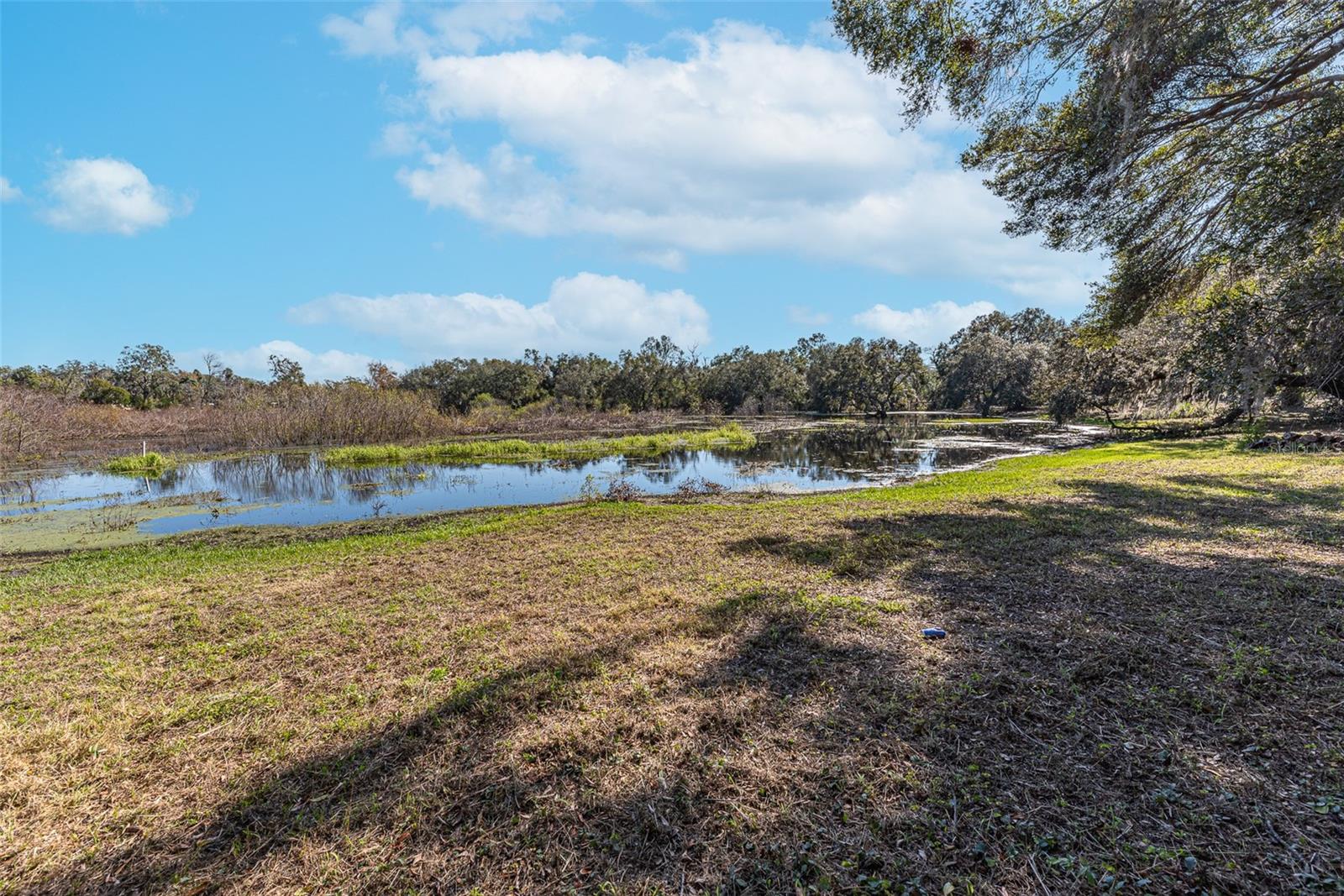 1505 BATES ST, BRANDON, FL, 33510