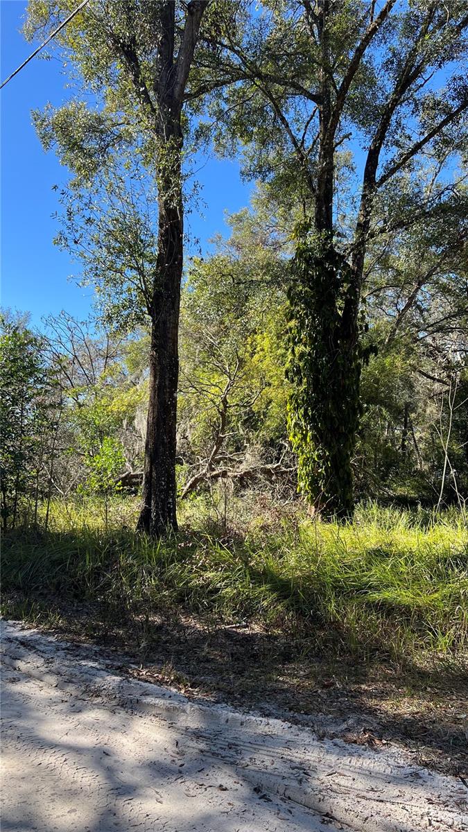 0 DURDEN RD, DADE CITY, FL, 33523