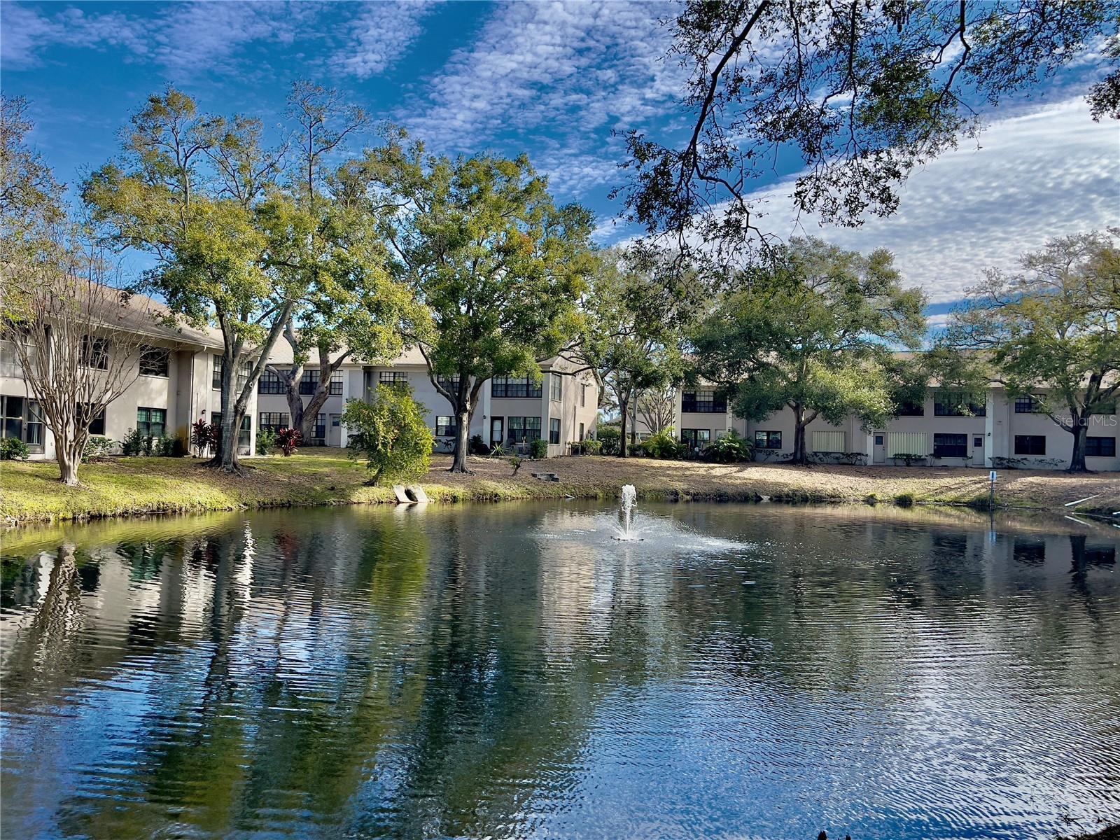 2150 ELM ST #605, DUNEDIN, FL, 34698