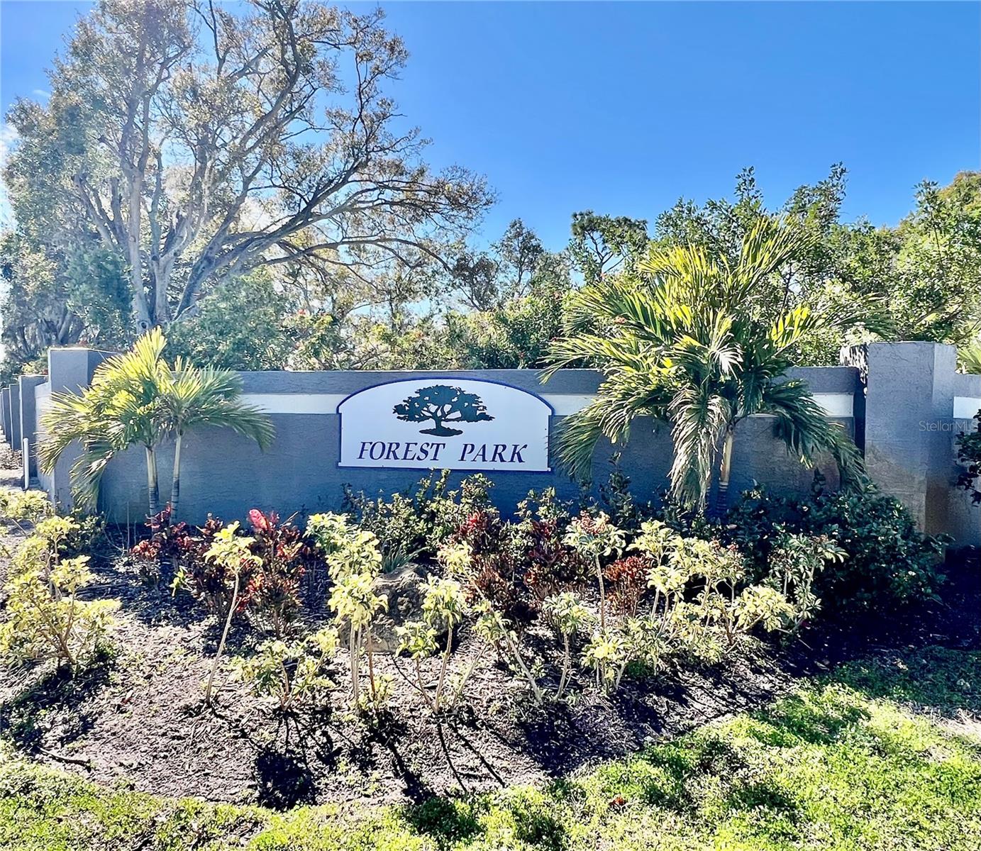 2150 ELM ST #605, DUNEDIN, FL, 34698