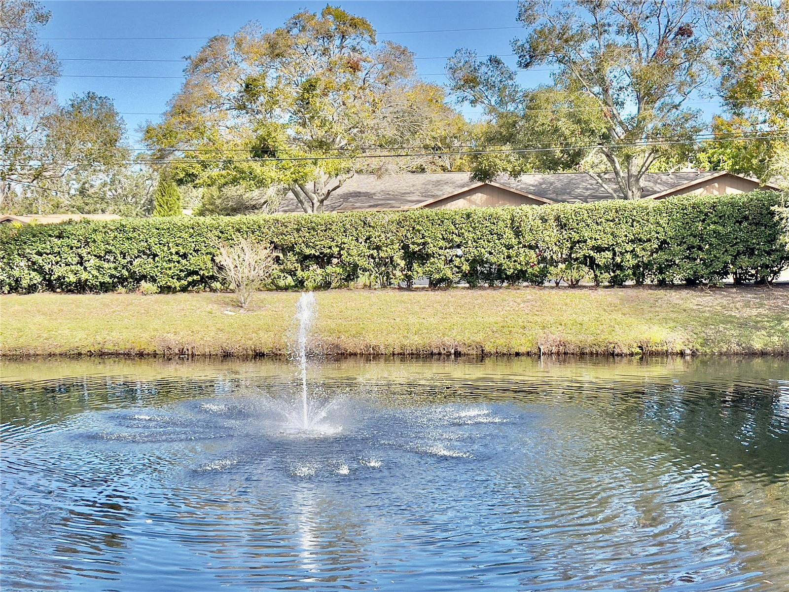 2150 ELM ST #605, DUNEDIN, FL, 34698