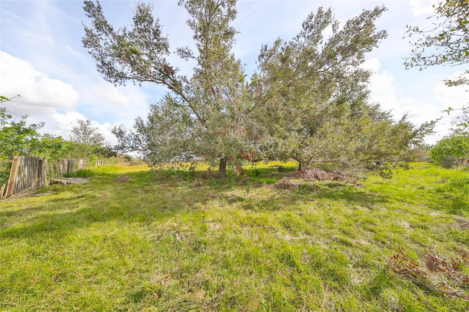 1 Wimauma CARLTON LAKE RD, WIMAUMA, FL, 33598