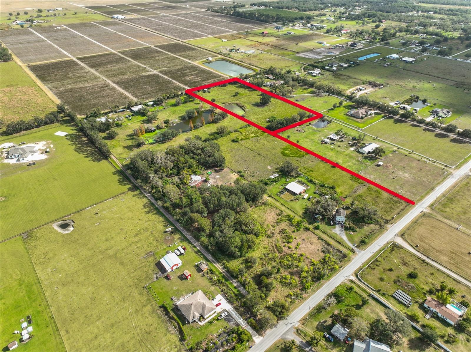 1 Wimauma CARLTON LAKE RD, WIMAUMA, FL, 33598