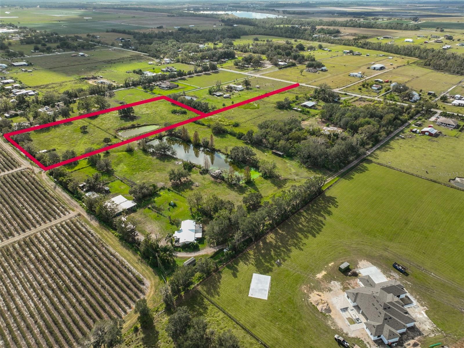 1 Wimauma CARLTON LAKE RD, WIMAUMA, FL, 33598
