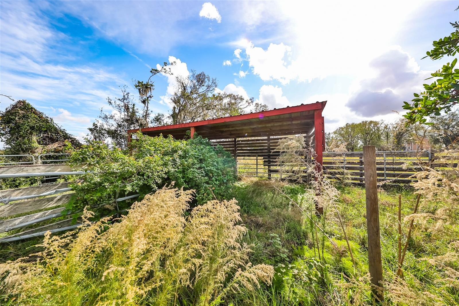 1 Wimauma CARLTON LAKE RD, WIMAUMA, FL, 33598