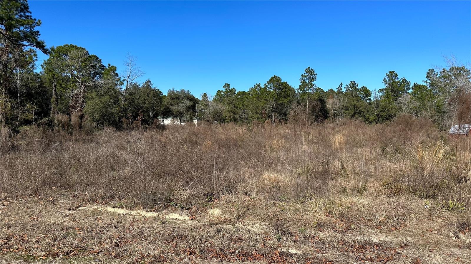 lot11 SW 44TH, DUNNELLON, FL, 34432