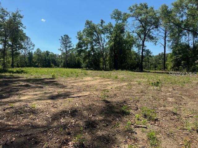 TBD NE 78TH LN, BRONSON, FL, 32621