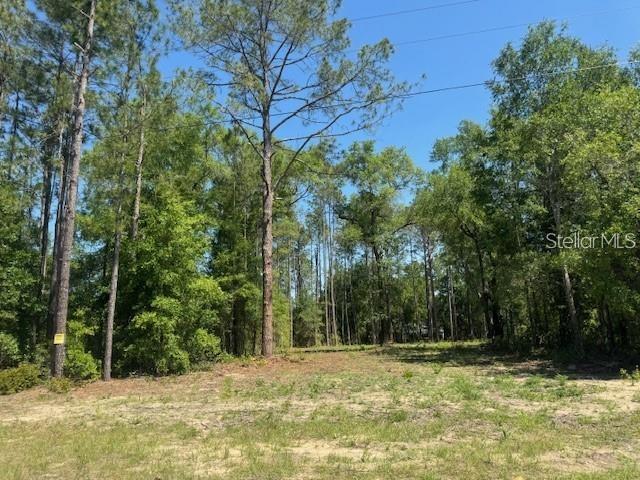 TBD NE 78TH LN, BRONSON, FL, 32621