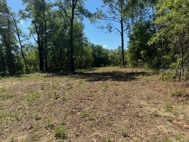 TBD NE 78TH LN, BRONSON, FL, 32621