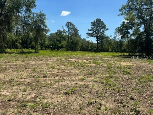 TBD NE 78TH LN, BRONSON, FL, 32621