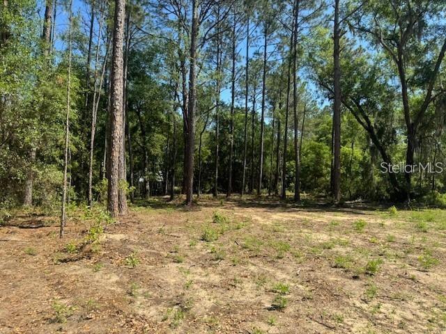 TBD NE 78TH LN, BRONSON, FL, 32621