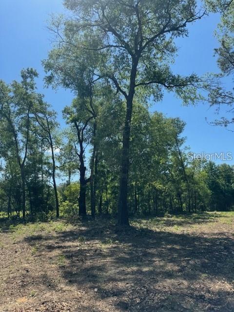 TBD NE 78TH LN, BRONSON, FL, 32621